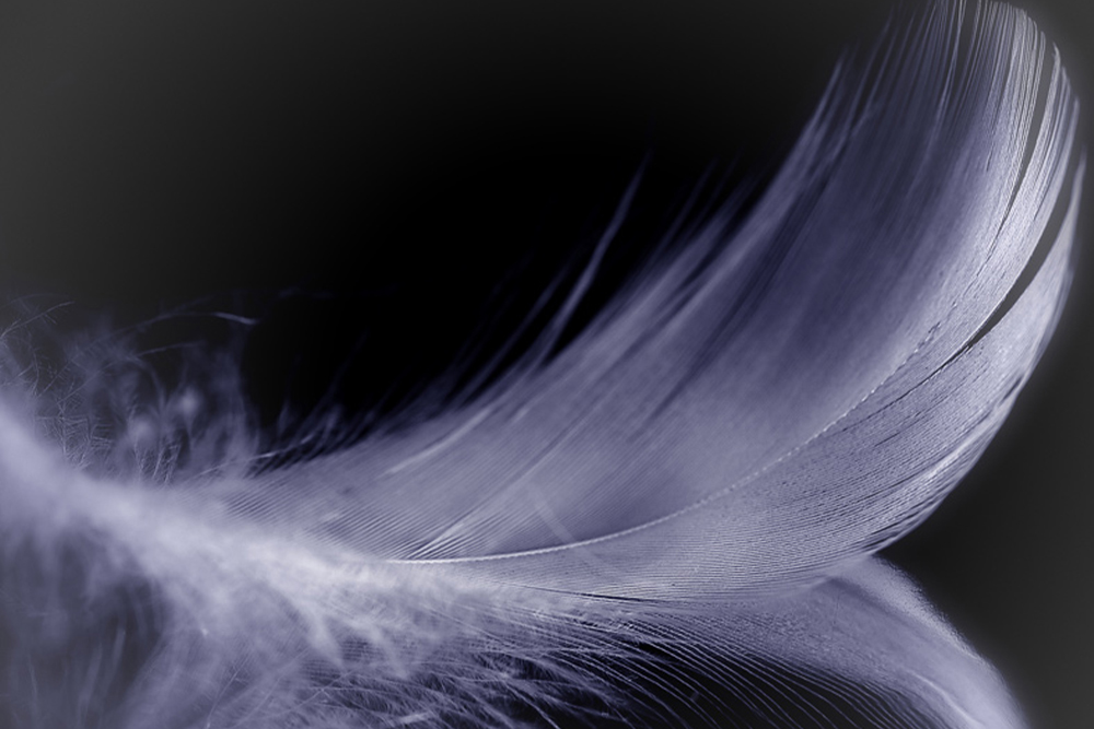 Neurochirurgo Disfarismi Spinali