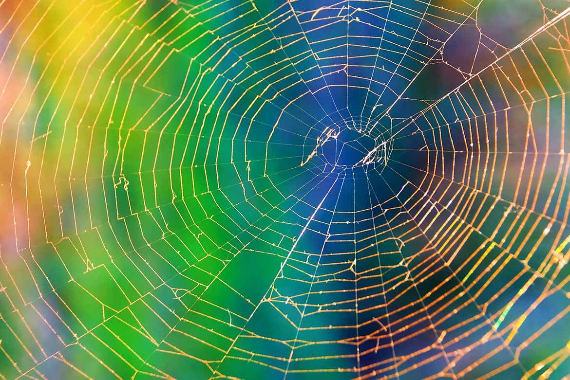 patologie lesioni neoplastiche cerebrali tumori gliali anteprima