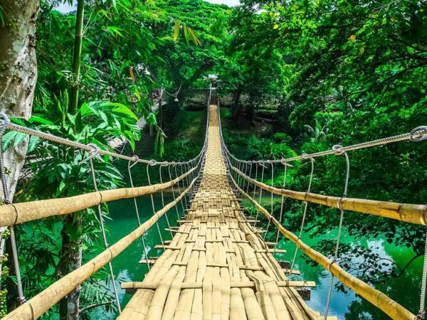 La fistola artero-venosa durale